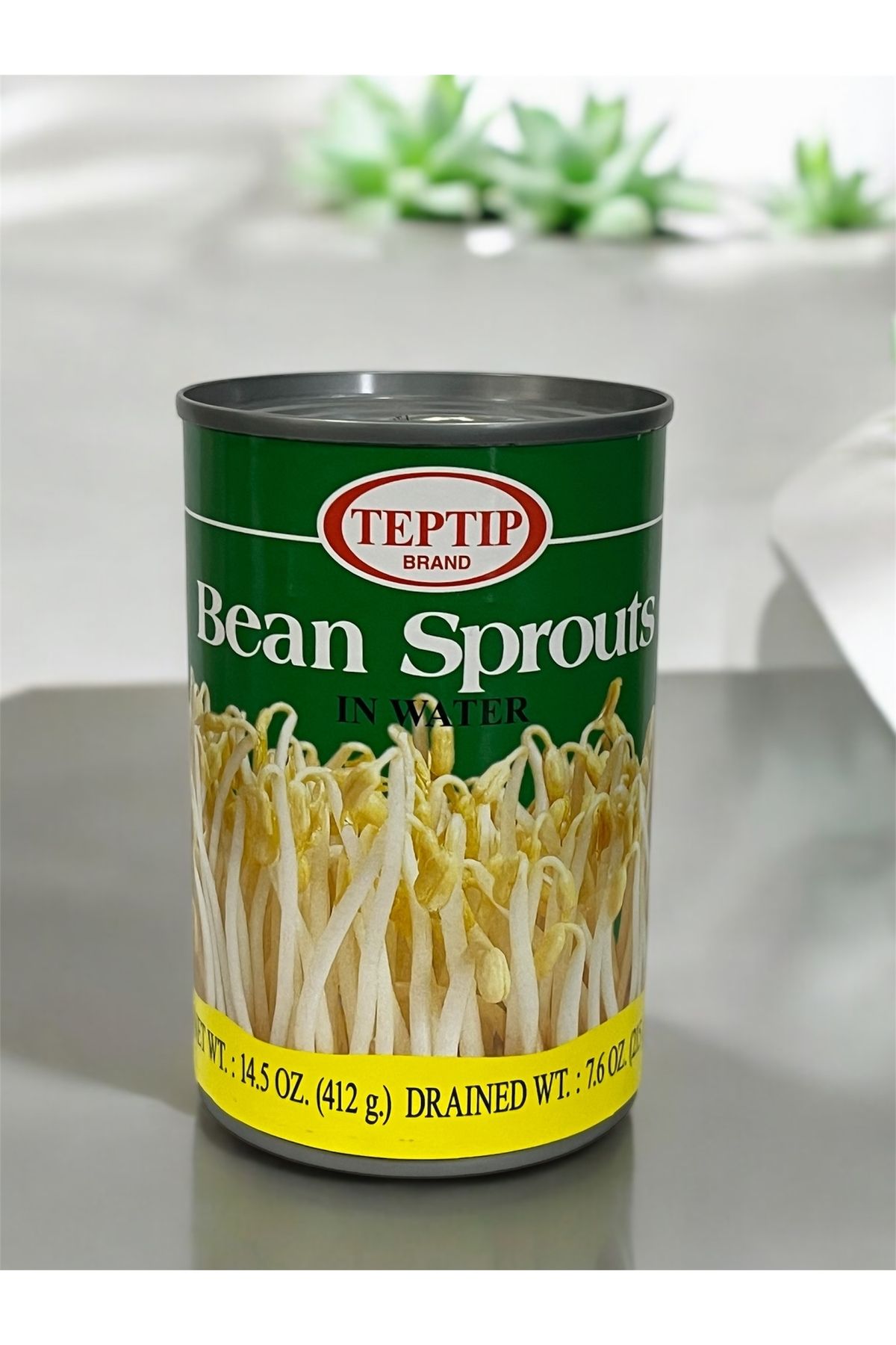 1_org_zoom Teptip Soya Filizi 412 Gr. - Görsel 1