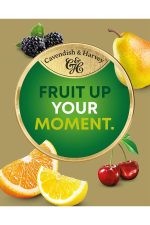 CAVENDİSH & HARVEY TROPİCAL FRUİT DROPS SUGAR FREE (TROPİK MEYVE) ŞEKERSİZ 175 GR - Görsel 5