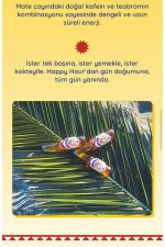 Matea Mate Soğuk Çay 250 ML - Görsel 2